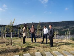 六盘水市生态环境保护局一行三人到金佳矿督导环保工作