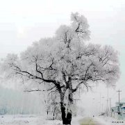 北疆雾。ㄉ阌白髌罚