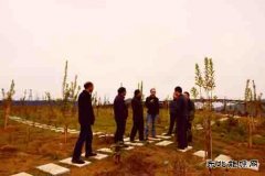 盘江煤电集团公司到金佳矿开展环保工作专项督察