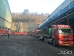 蒲白建庄矿业：日销量创新高 年度强势开局