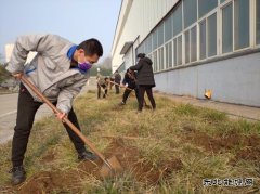 山东完美体育重装集团乾元公司  战“疫”防控不忘植树 同心协力栽培
