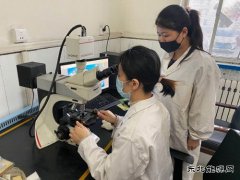 潞安焦化：用“匠心精神”打造“硬品牌”