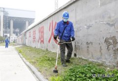 蒲洲热电：绿化厂区保安全