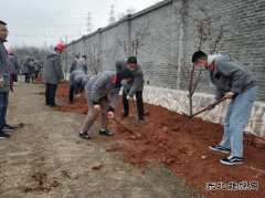 潞安焦化：组织全员开展春季植树活动