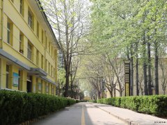 蒲白西固煤业：把“小家碧玉”打扮成“大家闺秀”促煤炭销售