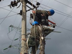 婺源县供电公司:＂一线一整治＂推进高故障线路整治