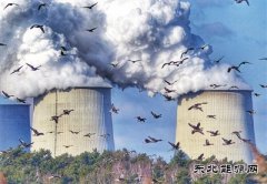 生态环境违法行为举报奖励将全面制度化