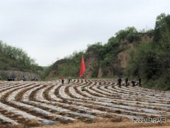 元鹤山下党旗飘 复工复产明初心