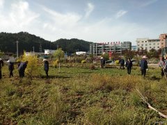 蒲白建庄矿业：开展矿区绿化打造美丽矿山