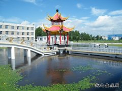 营造绿色环境 建设美丽南矿