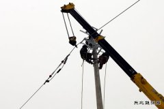 汤原供电公司：一条线路 壮大一个企业