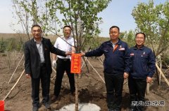 党建结对聚合力 互帮互学共提升