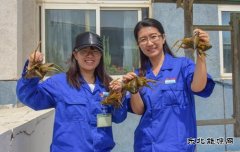 航锦科技公司为员工发放2020年端午节福利品