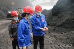 漳电蒲洲热电公司：抓住燃料管理“牛鼻子”