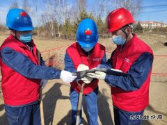 大兴安岭供电公司：激活“党建+” 为企业强“根”筑“魂”