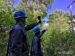 国网大兴安岭供电公司未雨绸缪开展供电线路防洪防汛巡视