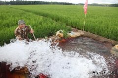 黑龙江兴凯湖电业公司：机井通电扶贫工程让农民走上幸福小康路