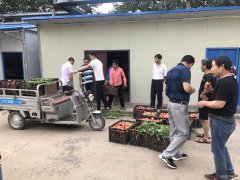 中煤三建二十九处临涣项目部开展“夏送清凉”活动