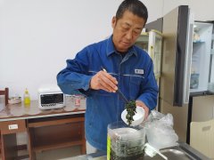 大兴安岭供电公司：电网大叔变身节约达人