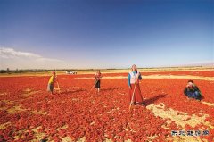 “完美体育过上了好日子”