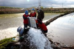 兴凯湖电业公司：电满黑土地 红红火火庆丰收