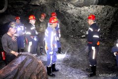 矿业公司总经理张维新莅临蒲白建新煤化检查指导工作