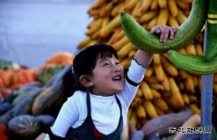 金秋娃娃乐丰收