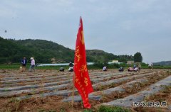 技校联合党委：党员亮身份树形象 争创五星“安全示范岗”