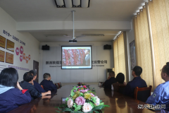 陕煤蒲白煤化运营公司  缅怀先烈 砥砺前行