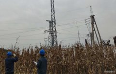 国网大庆供电公司：大同区老百姓用电终于有了“双保险”