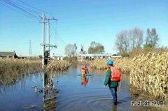 佳木斯供电公司：全力巡检线路设备，柳树岛全面恢复供电