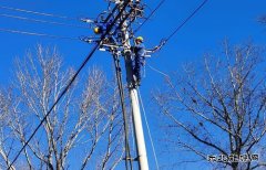 伊春供电公司：开展“党建+安全生产”特巡 确保冬季电网安全运行