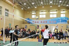 国网黑龙江大庆公司气排球比赛精彩纷呈
