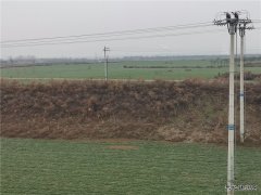 蒲白铁运公司：窗外那一片柔绿