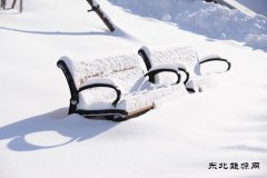 2020:与风雪关联的零星记忆(组 诗)