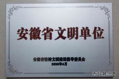 中煤三建二十九处荣获“第十二届安徽省文明单位”称号
