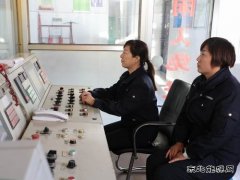 煤海绽放并蒂花——西固煤业两对年青夫妻的敬业故事