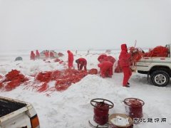 雪原擂台四比四赛