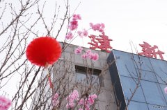 过年未必惟桑梓 此心安处是吾乡