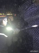 蒲白煤矿运营公司：这个队硬气，更“牛气”