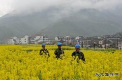 源县供电公司：积极备战 为油菜花旅游旺季提供可靠电力保障