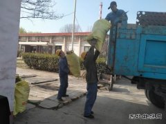 陕煤蒲白热电公司：环境清理小切口  共绘文明创建大美图