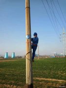 陕煤蒲白配售电公司给电杆穿“新衣”  为安全筑牢防线