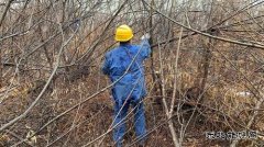 伊春供电公司：多措并举打出森林草原防火组合拳