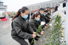太康县供电公司：清明祭英烈 精神永传承