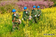 江西婺源：花香“电亮”农家乐