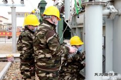 黑龙江兴凯湖电业公司：“党建+春检”筑牢供电安全防护网