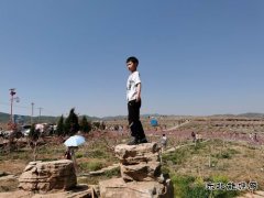 爱上青云山妖娆的桃花