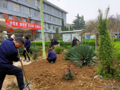 蒲白煤化运营公司 爱国卫生月党员做先锋