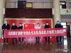 向阳矿团委组织开展“学党史、忆先烈”主题团日活动